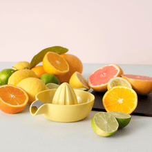 Load image into Gallery viewer, Rig-Tig by Stelton Juicy Lemon Squeezer- 리그티그 레몬즙 툴