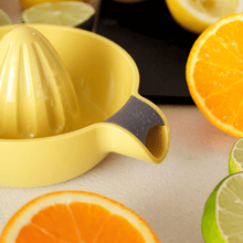 Load image into Gallery viewer, Rig-Tig by Stelton Juicy Lemon Squeezer- 리그티그 레몬즙 툴