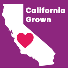 Load image into Gallery viewer, Wilderness Poets 100% Organic Pistachio Nut Butter - 윌더니스 포엣 100% 유기농 피스타치오 버터 (Best By: Feb. 2027)