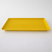 Load image into Gallery viewer, Hasami Ware Rectangular Color Groove Plate - 하사미 칼라 직사각 그루브 접시
