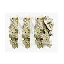 Load image into Gallery viewer, Mrs. Malaenge Dried Vegetables - 말랭이여사 배추된장국 키트
